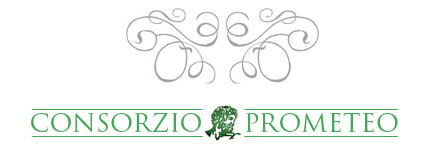 consorzio prometeo